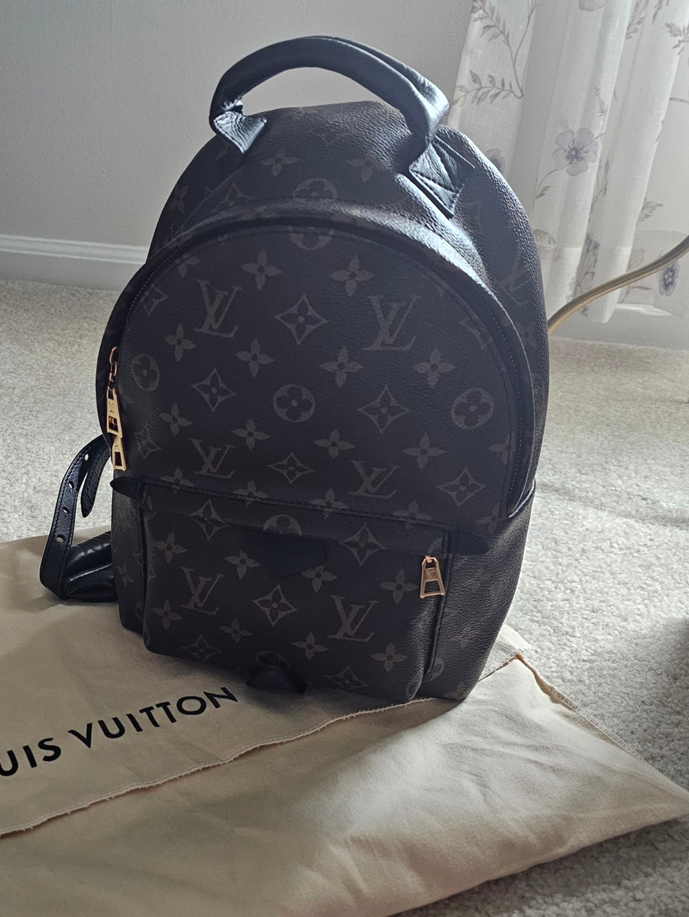 Louis Vuitton Palm Springs Backpack PM Size